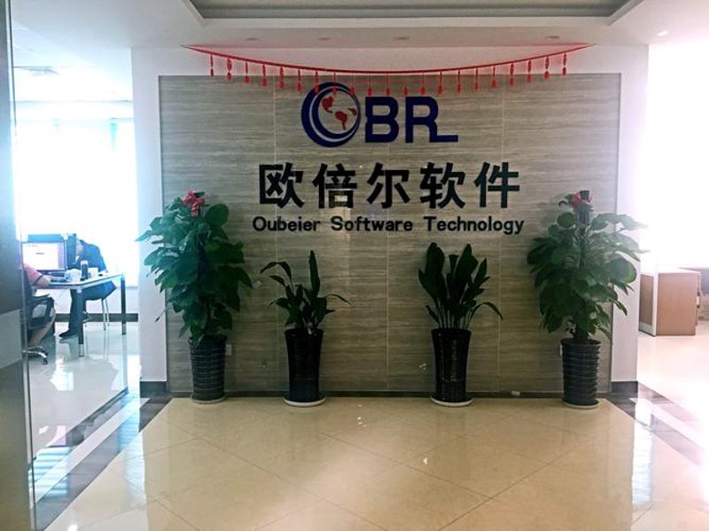 信息化建设：推动企业步入高效新时代